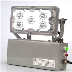 ZGE203嵌入式LED低顶灯 配电房LED应急灯10W