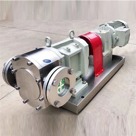保温转子泵 高粘度凸轮泵 转料容积泵 多功能输送泵 按需定制 欢迎咨询