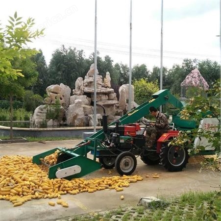 鲁丰 玉米脱粒机 自动上料带装车玉米脱粒机 生产 厂家