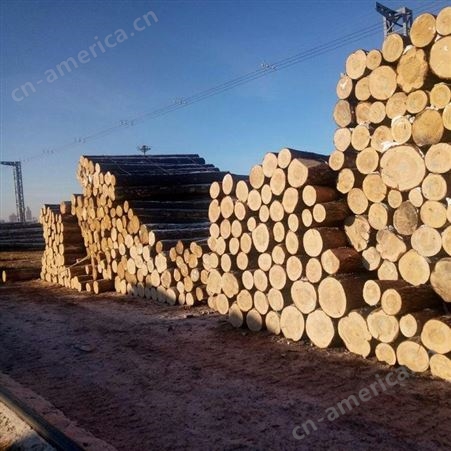 呈果木业 工程木方 辐射松工地现货供应耐磨工地用枕木