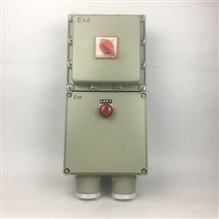 依客思 煤场防爆断路器BDZ52-20A/3/IP65 电机防爆空气开关箱