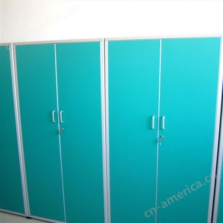 杭州全钢更衣柜 储物柜 员工柜 带锁加厚浴室健身房存放柜 实验室家具