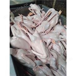 新鲜鹅食袋 肉质较薄 肉质紧实劲道 含丰富蛋白质