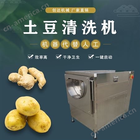创达 土豆清洗机 胡萝卜清洗机 红薯清洗机 供应 生姜去皮清洗机