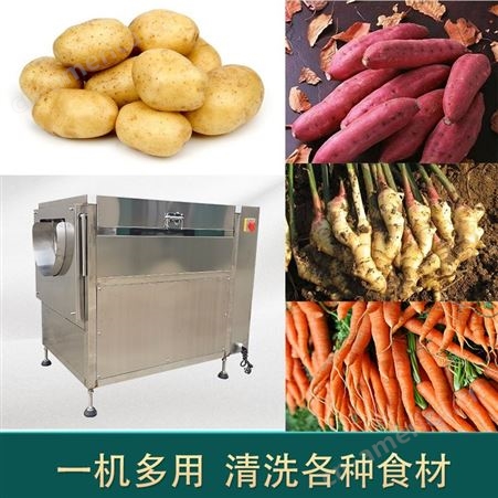 创达 土豆清洗机 胡萝卜清洗机 红薯清洗机 供应 生姜去皮清洗机