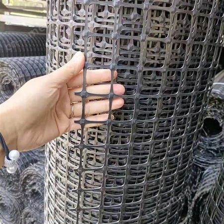 奥焱 室外围栏网 塑料土工格栅圈玉米网 养鸡鸭格栅围网