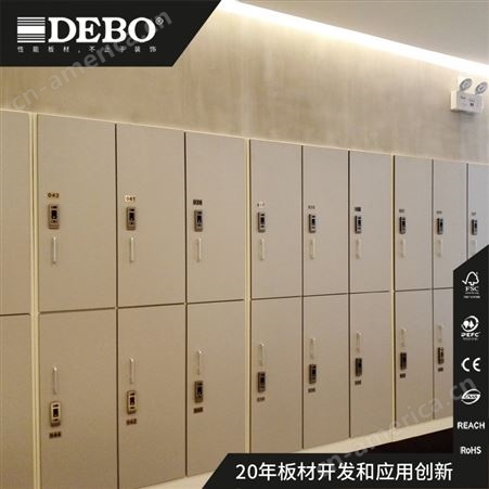 DEBO 组合式更衣柜存包柜一体柜防水储物柜物品寄存柜 定制