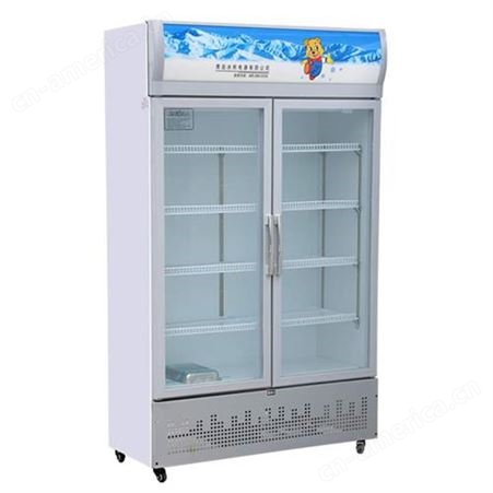 展示柜价格 单门冷藏展示柜 保鲜展示柜 西安单双门冷藏展示柜 
