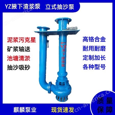150YZ200-12-18.5耐磨防腐液下泵YZ立式液下渣浆泵加长轴排污淤泥泵