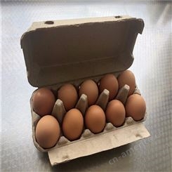 10枚鸡蛋保护托-卓尔纸塑-出售批发-热压纸托