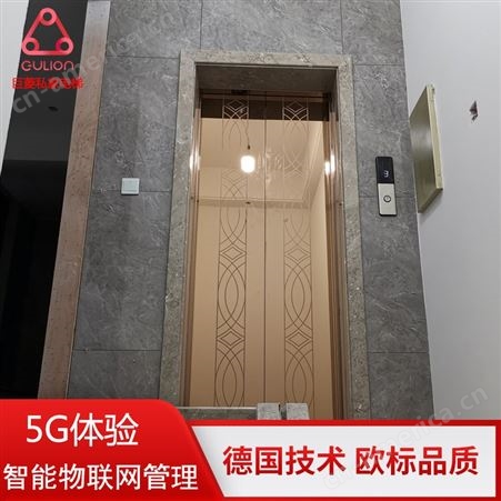 上海别墅用小型电梯尺寸 Gulion/巨菱320kg家用电梯价格