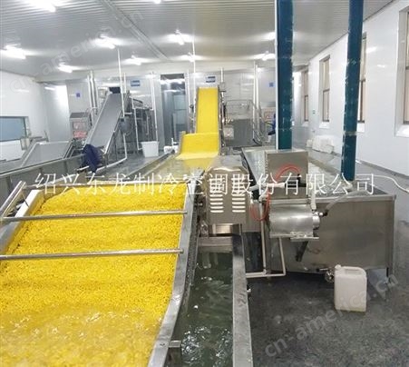 玉米粒速冻生产线