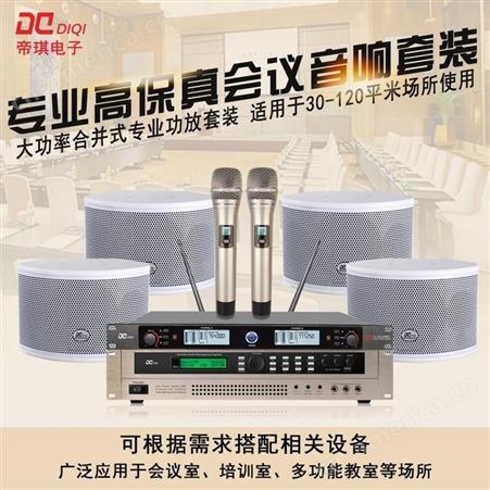 帝琪会议无线麦克风演讲扩声系统方案设备一拖二无线领夹话筒DI-3802A