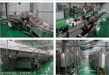 木瓜果蔬汁饮料生产线设备300吨每年山楂酒加工设备