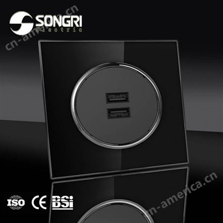 外贸上海松日SONGRI 86型SEU1BK黑色系列 双孔USB插座 二孔数据线接口面板