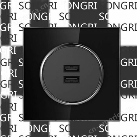 外贸上海松日SONGRI 86型SEU1BK黑色系列 双孔USB插座 二孔数据线接口面板