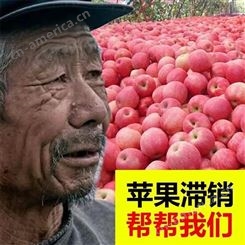 苹果批发 现货红富士发货快 苹果批发便宜 裕顺大量上市