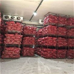 4000吨水果蔬菜冷库整体安装