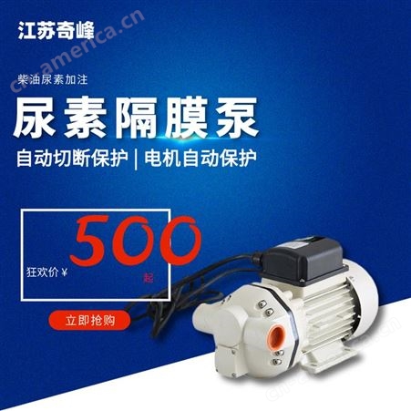 奇峰 电动隔膜泵 自吸泵 柴油加注机220V 尿素加注泵 工厂销售