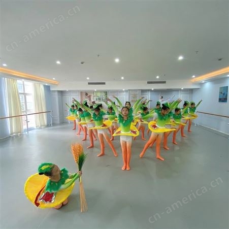 舞蹈教室地胶室内用   舞蹈室PVC地胶厂家推荐 PVC地胶
