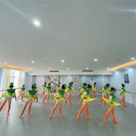 舞蹈教室地胶室内用   舞蹈室PVC地胶厂家推荐 PVC地胶