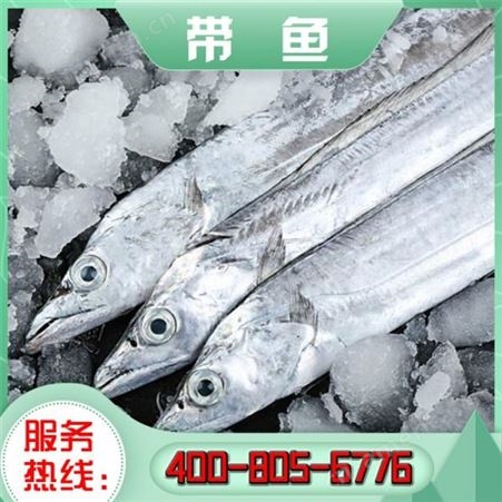 嘉汇荣 东海带鱼 进口带鱼段 海鲜批发