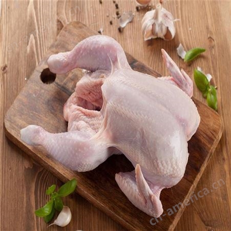 沈阳鸡肉厂家   鸡肉加工厂家   信生牧业   鸡肉经销价格   鸡肉食品厂