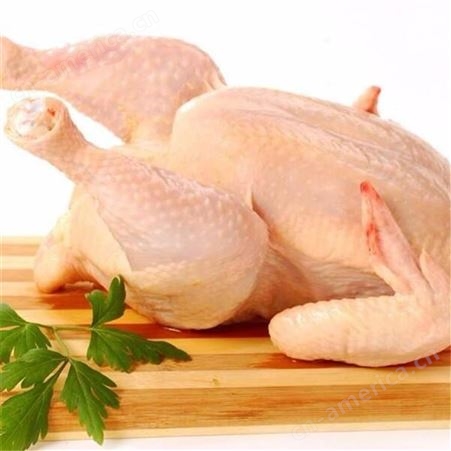 黑龙江鸡肉食品     新鲜冷冻鸡肉批发    信生牧业    鸡肉经销冻品销售