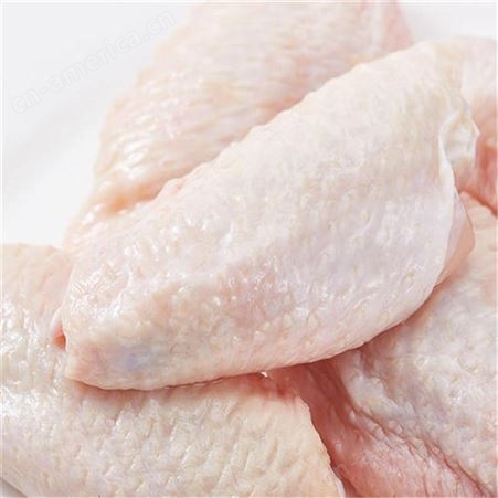 肉鸡食品加工厂家     重庆鸡肉鲜品价格     信生牧业    品质优良    鸡肉代理