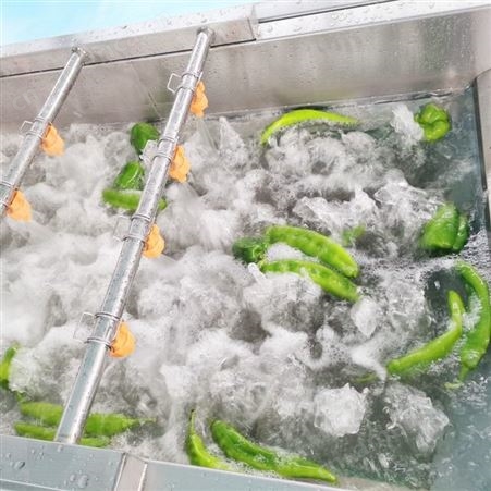 高压喷淋气泡清洗机 去农残果蔬清洗流水线 净菜深加工设备