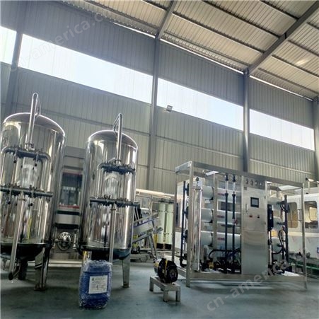 反渗透净水设备  锅炉水处理设备 水处理设备厂家 6吨双级水处理设备