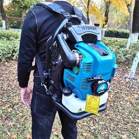 园林绿化除雪机 背负式汽油动力清扫机  环卫落叶清理机
