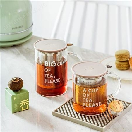 北鼎（Buydeem）泡茶杯 办公室家用茶具玻璃杯子 带把防烫茶水分离杯品茗杯 高硼硅玻璃带盖花茶杯