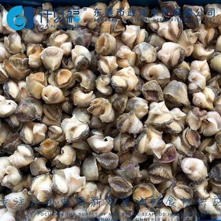 仟贝福袋装真空海螺头 熟冻海螺去脏新鲜 活冻海螺肉 贝肉海鲜食材