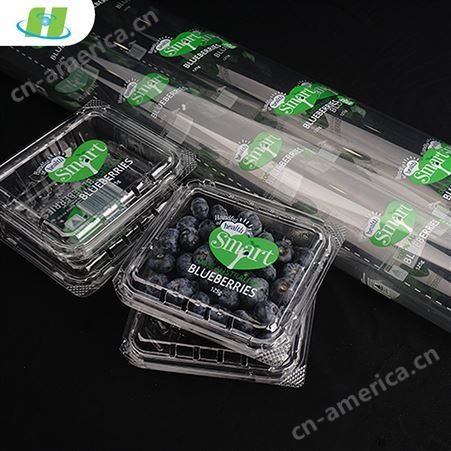 环塑定制水果塑料透明包装盒 蓝莓PET打包盒 生鲜吸塑托盘