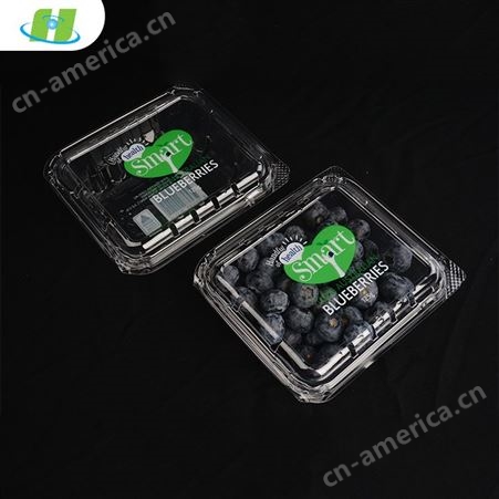 环塑专业定制食品级别PET吸塑熟料盒蓝莓透明包装塑料盒