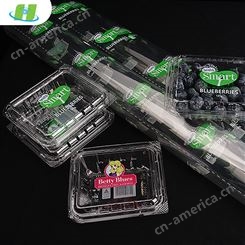环塑定制水果塑料透明包装盒 蓝莓PET打包盒 生鲜吸塑托盘