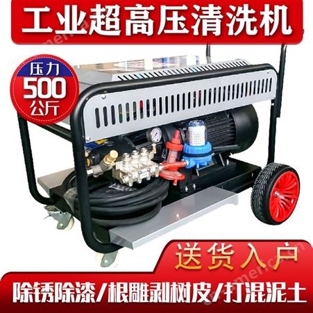 全自动 工业超高压清洗机500公斤 