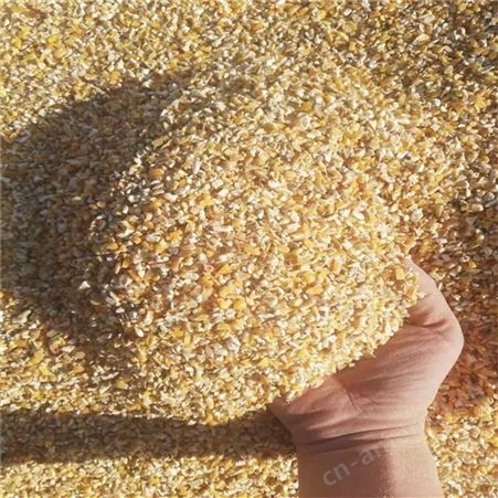 厂家供应玉米漏批发玉米下脚料碎玉米